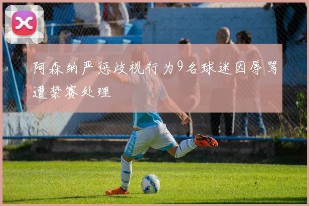 阿森纳严惩歧视行为9名球迷因辱骂遭禁赛处理